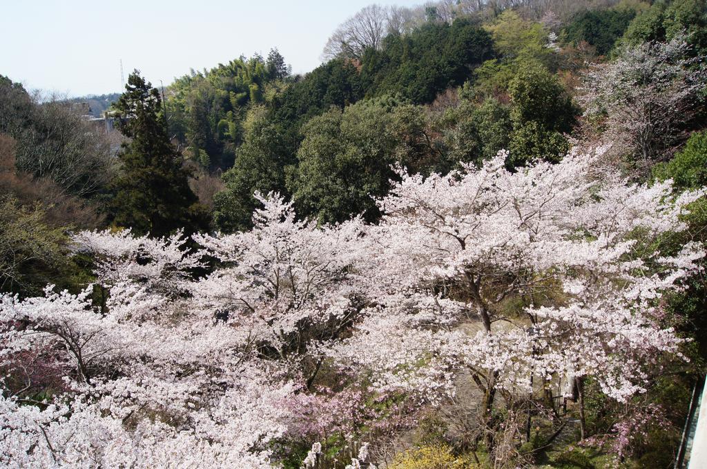 Gyokuzoin Heguri Exterior foto